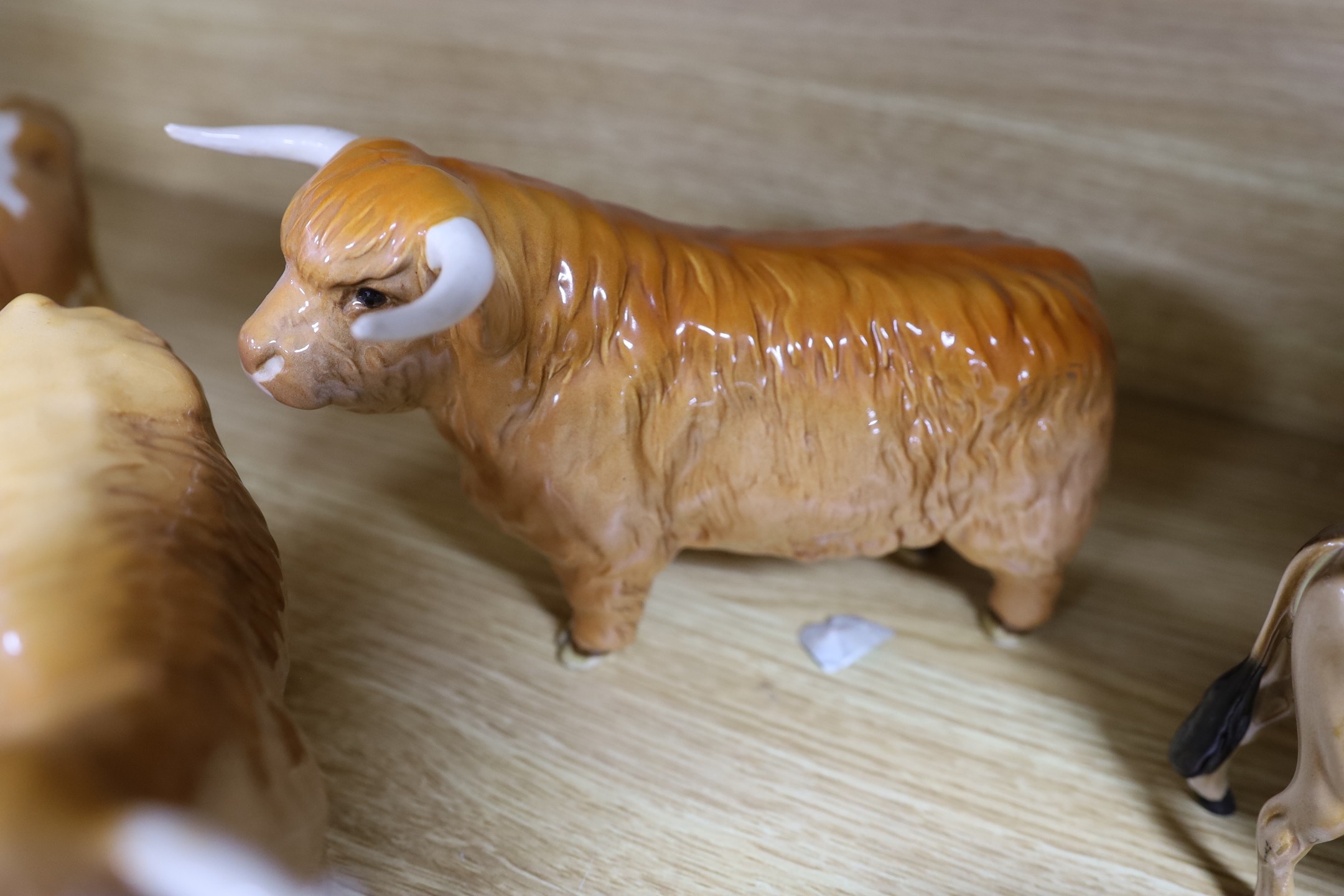 A Beswick Highland bull, cow and calf, a similar Freisian bull, cow and calf and a Dulsby Coy Boy, bull, cow and calf